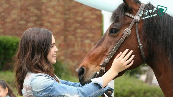 فيلم A Cowgirls Story 2017 مترجم