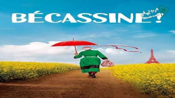 فيلم Bécassine ! 2018 مترجم