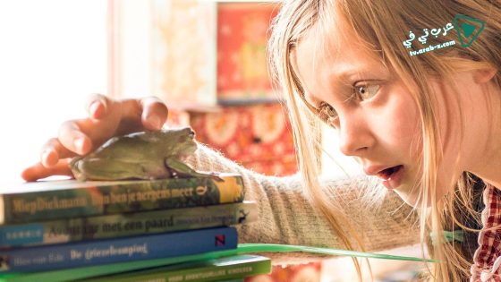 فيلم Mr Frog 2017 مترجم