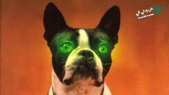 فيلم The Convent 2000 مترجم